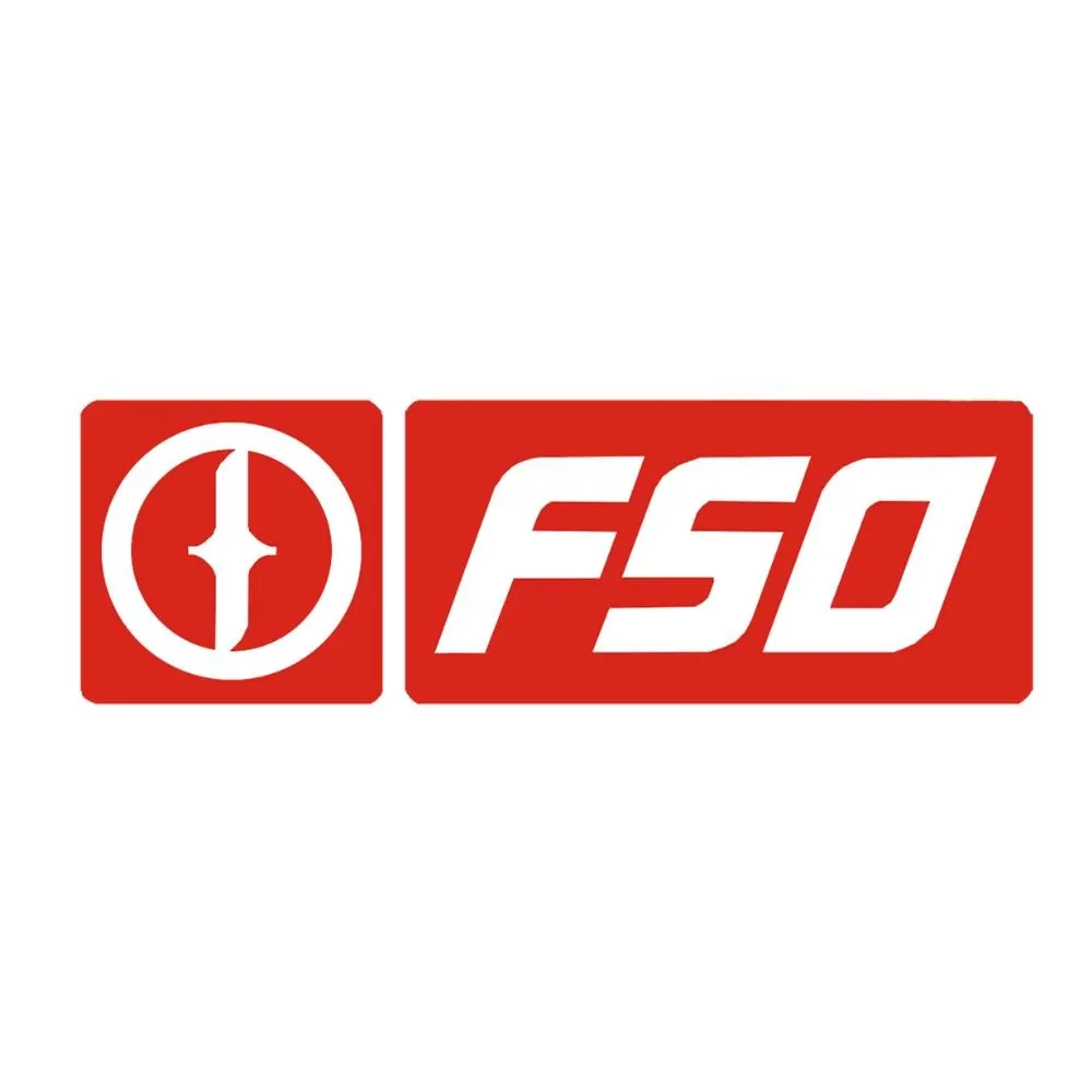 Logo FSO